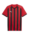 PUMA teamLIGA26 Striped Trikot Rot F11 - rot
