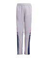 adidas Squadra 25 Trainingshose Kids Grau