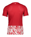 Nike SC Freiburg Trikot Home 2023/2024  Rot F657 - rot