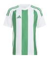 adidas Striped 24 Trikot Kids Weiss Grün