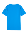 PUMA teamULTIMATE Trikot Kids Blau F02 - blau