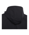 adidas Entrada 22 Allwetterjacke Kids Schwarz - schwarz