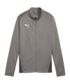 PUMA teamGOAL Trainingsjacke Damen Grau F13