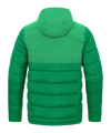 JAKO Stadion Jacke Kids Grün F260 - gruen