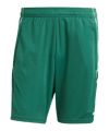 adidas Tiro 25 Competition Short Grün