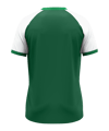 JAKO Dynamic KA Trikot Grün F205 - gruen