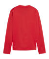 PUMA teamGOAL Training Sweatshirt Damen Rot F01 - rot