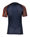Nike Academy Trikot Kids Blau Rot F411 - blau