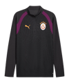 PUMA Galatasaray Istanbul Training 14 Zip Top Grau F05 - grau