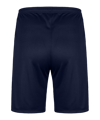 Nike Strike 26 Short Kids Blau F410