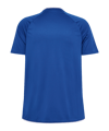 hummel Core 2.0 Trikot Blau F7691 - blau