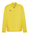 PUMA teamGOAL Trainingsjacke Gelb F07