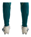 Nike CBF Brasilien Trainingshose Grün F381 - gruen