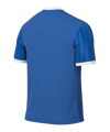 Nike Challenge VI Trikot Kids Blau F463 - blau