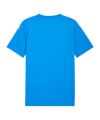 PUMA teamFINAL Graphic Trikot Blau F02 - blau