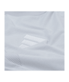 adidas Fortuna Düsseldorf Präsentation T-Shirt Grau - grau
