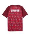 PUMA SFV Schweiz Prematch T-Shirt WM 2026 Rot F06 - rot
