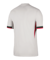 Nike FC Chelsea London Trikot Away 2025/2026 Grau F031 - grau