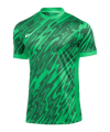 Nike Gardien V Torwarttrikot Grün F329 - gruen
