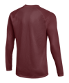 Nike Park VIII Trikot langarm Rot F677