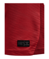 Hummel 1. FC Köln Trikot Away 2025/2026 Rot F3062 - rot