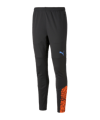 PUMA individualCUP Trainingshose Schwarz F50 - schwarz