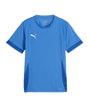 PUMA teamGOAL Matchday Trikot Kids Blau Weiss F02