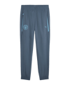 PUMA Manchester City Pumatech Woven Hose Grau F26 - grau