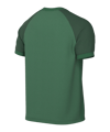 Nike Trophy VI Trikot Grün F302