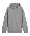PUMA teamGOAL Casuals Hoody Kids Grau F33 - grau