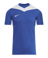 Nike Park Derby IV Trikot Kids Blau F463