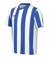 Nike Division V Striped Trikot Kids Weiss F101