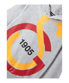 Galatasaray Istanbul Big Logo Sweatshirt Kids Grau - grau