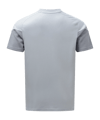 adidas Fortuna Düsseldorf Präsentation T-Shirt Grau - grau