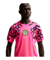 Nike NFF Nigeria Torwarttrikot WM 2026 Rosa F645 - rosa