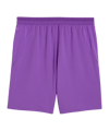 PUMA Borussia Dortmund Short 2026/2027 Lila F17 - lila