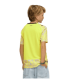 PUMA SFV Schweiz Replica Torwarttrikot Home WM 2026 Kids Gelb F89 - gelb