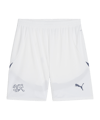 PUMA Schweiz Short EM 2024 Weiss F02