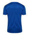 Hummel hmlAUTHENTIC Poly Trikot Blau F7045 - blau