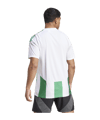 adidas Striped 24 Trikot Weiss Grün - weiss