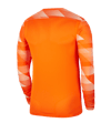 Nike Park IV TW-Trikot kurzarm Orange F819 - orange