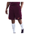 Nike Strike Short Rot F610