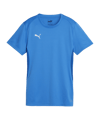 PUMA teamGOAL Trikot Damen Blau F02 - hellblau