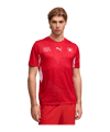 PUMA SFV Schweiz Replica Trikot Home WM 2026 Rot F01 - rot
