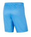 Nike Park III Short Blau F412 - blau