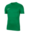Nike Park VII Trikot kurzarm Grün F302