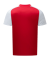adidas Originals Fortuna Düsseldorf WarmUp T-Shirt 2026/2027 Rot - rot