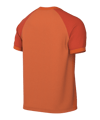 Nike Trophy VI Trikot Orange F819 - orange