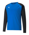 PUMA teamLIGA Trainig Sweatshirt Blau F02