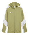 PUMA teamEVOSTRIPE Kapuzenjacke Grün F40
